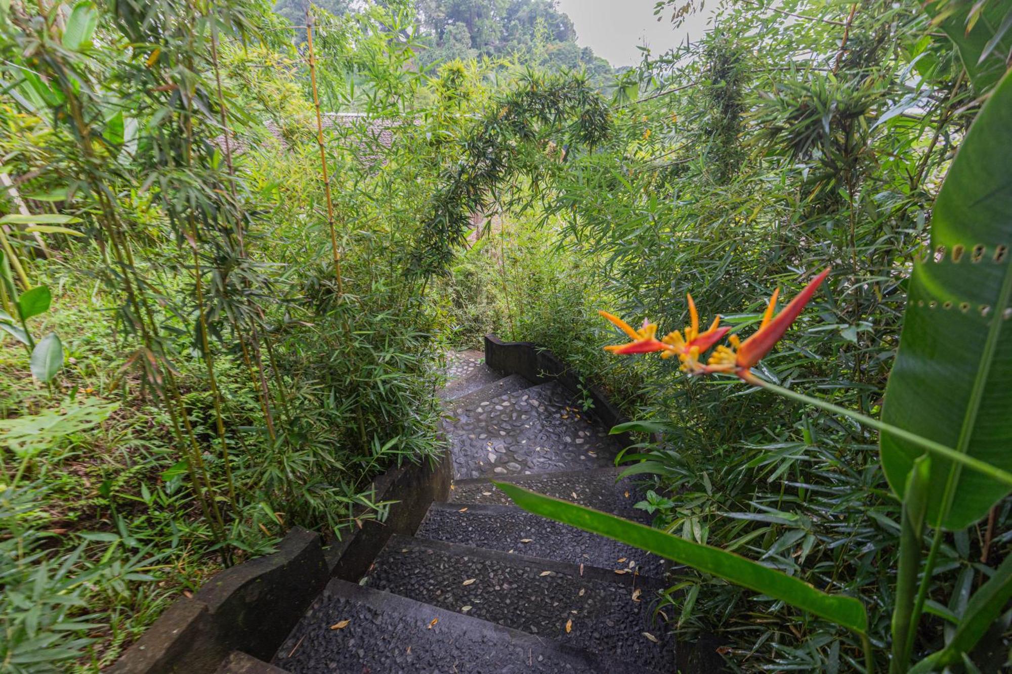 Shigar Livin Bali Villa ซิเดอมัน ภายนอก รูปภาพ