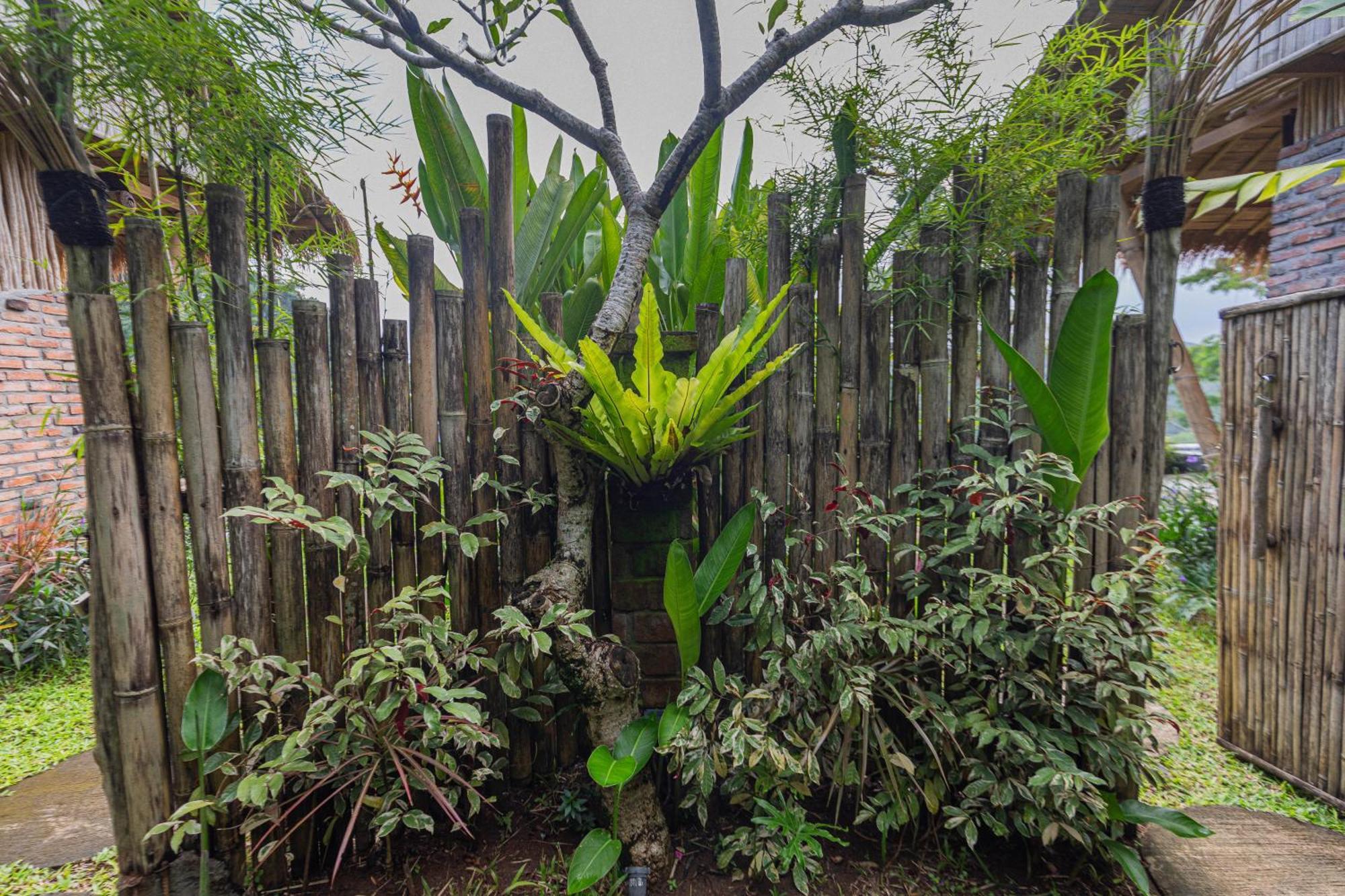 Shigar Livin Bali Villa ซิเดอมัน ภายนอก รูปภาพ