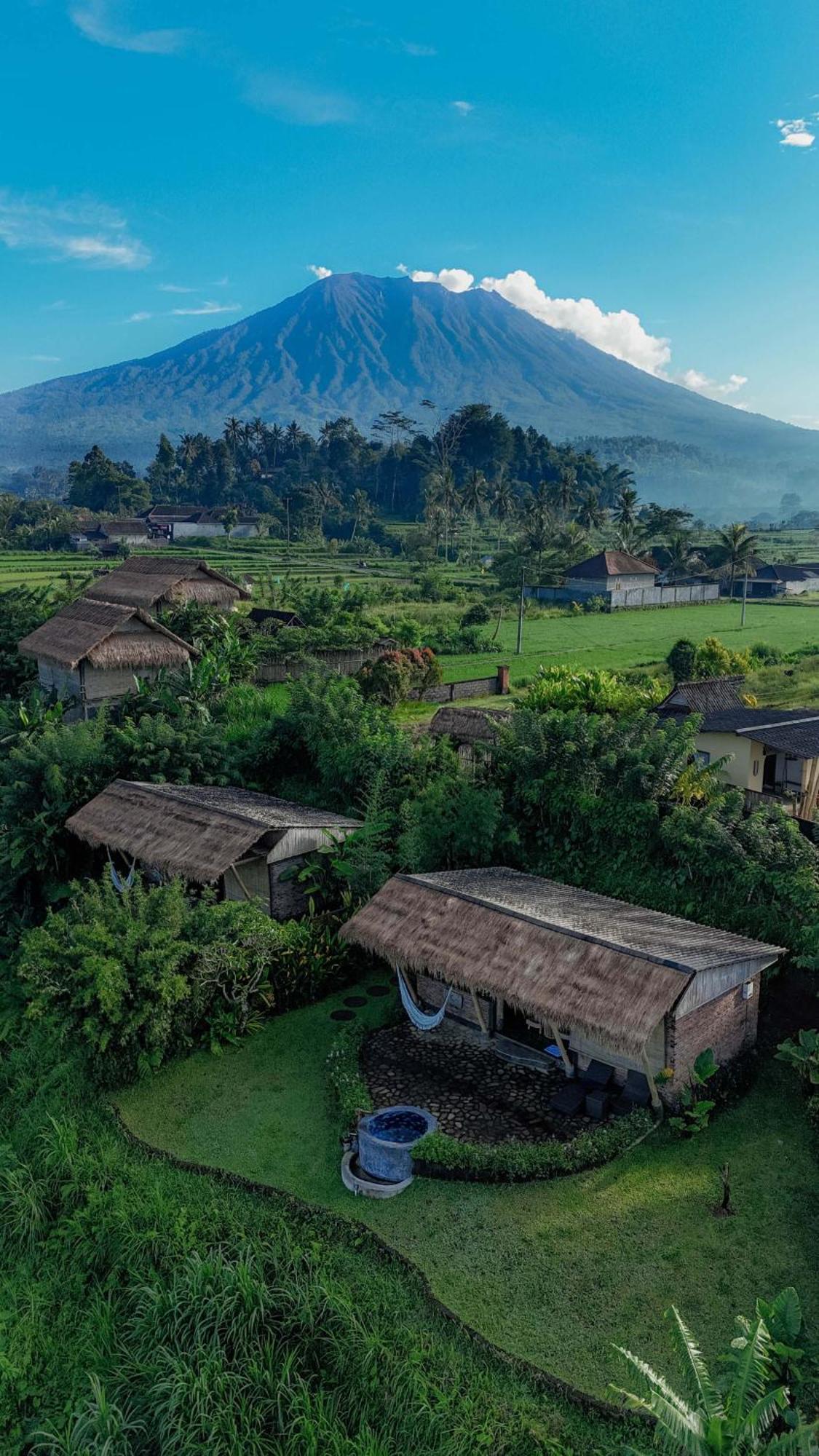 Shigar Livin Bali Villa ซิเดอมัน ภายนอก รูปภาพ